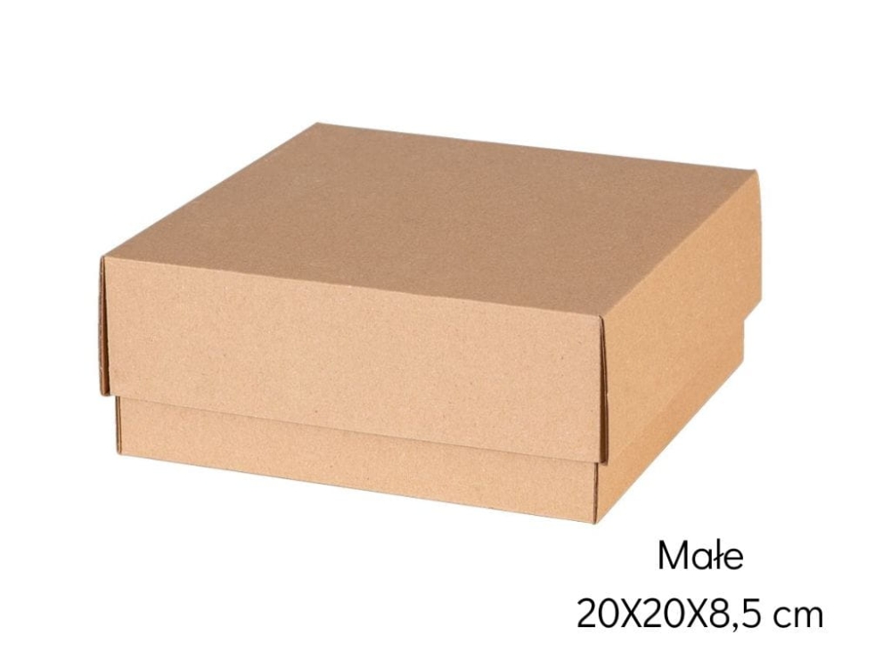 wieczkowe pudełko głatka tektyra 20x20x8,5.jpg